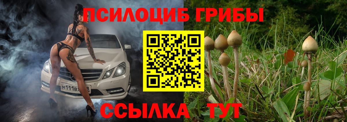 Лесозаводск  Галлюциногенные грибы Cubensis  Вход с VPN 